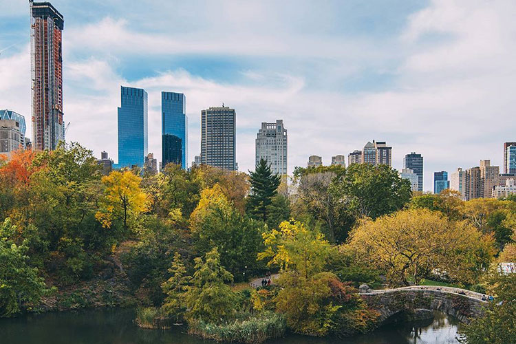 Central Park est le poumon de la ville de NEw-York. C'est le quartier idéal pour trouver un logement.