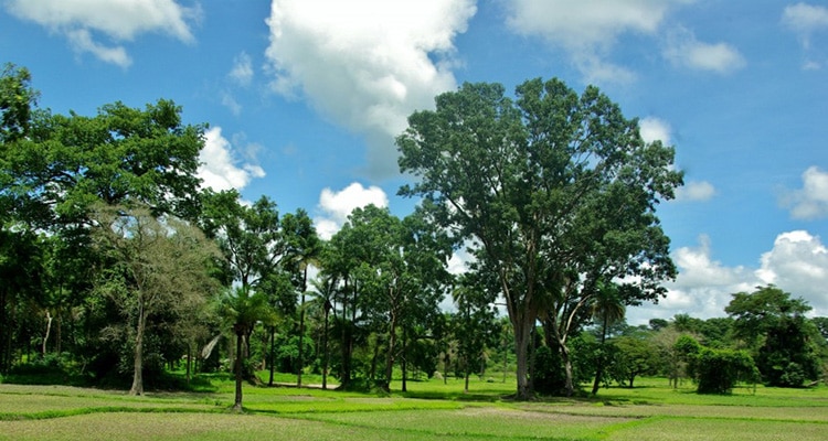 la casamance