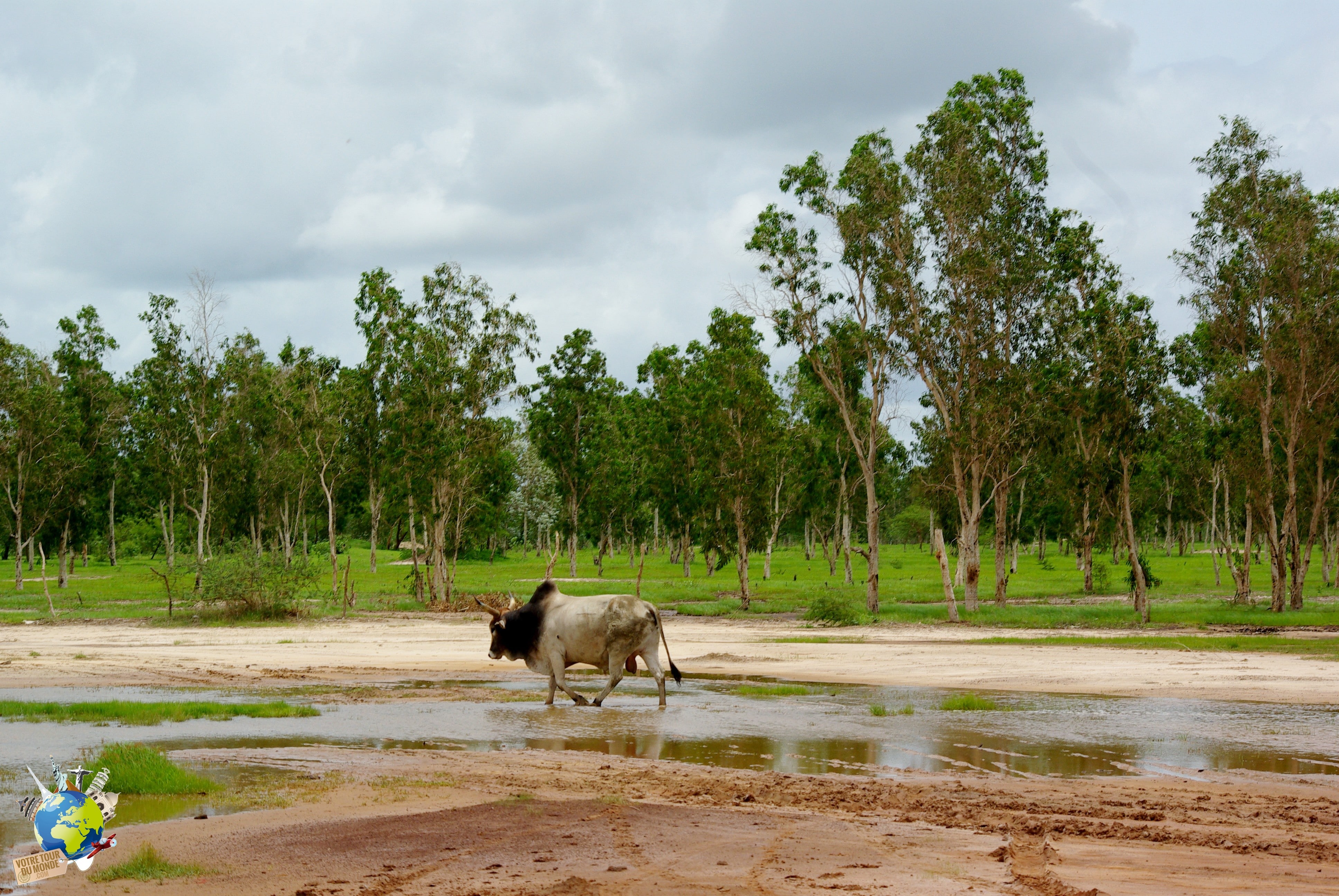 la casamance