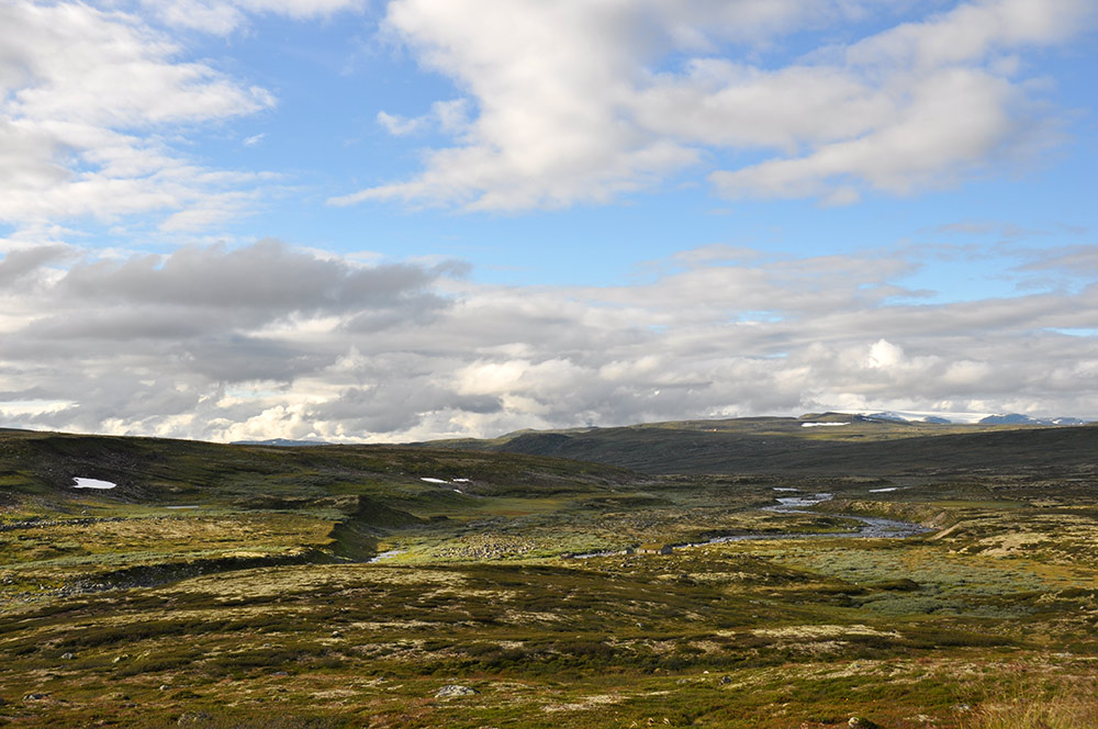 Plateau-de-Hardangervidda