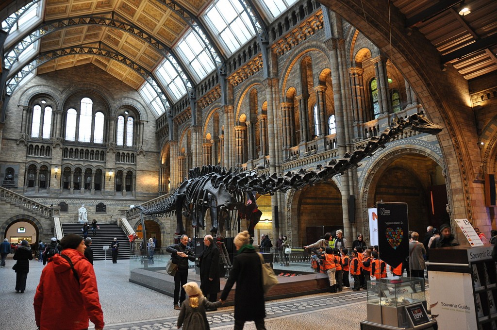 Museum histoires naturelles