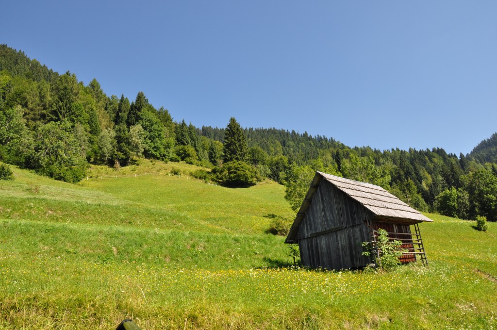 Plateau de Pokjluka