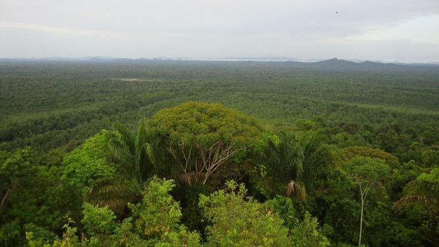 Tourisme - En images. Guyane française : la destination idéale pour les  amoureux de la nature !