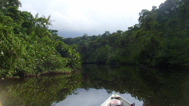 Vivre en Guyane : 5 vrais-faux