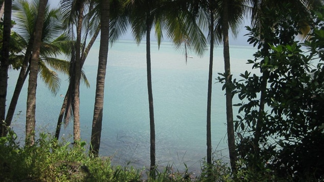 Tourisme - En images. Guyane française : la destination idéale pour les  amoureux de la nature !