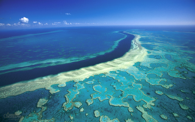 great-barrier-reef-hardy