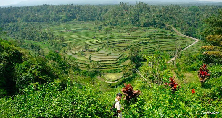 Voyage à Bali 