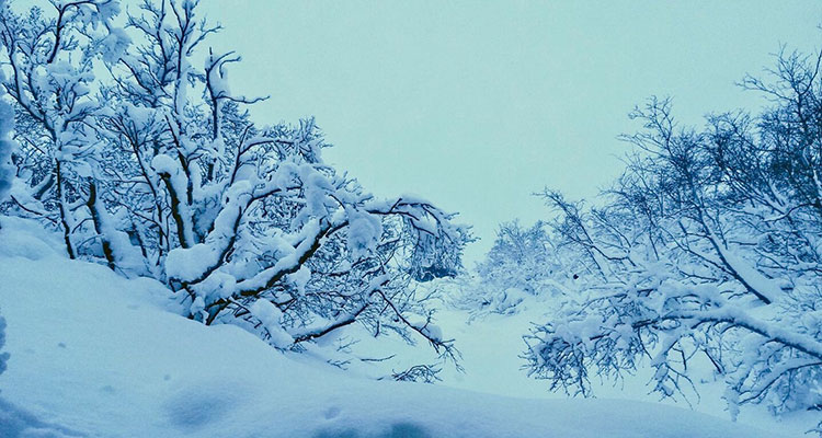 L'hiver à Myvatn les températures descendent très bas