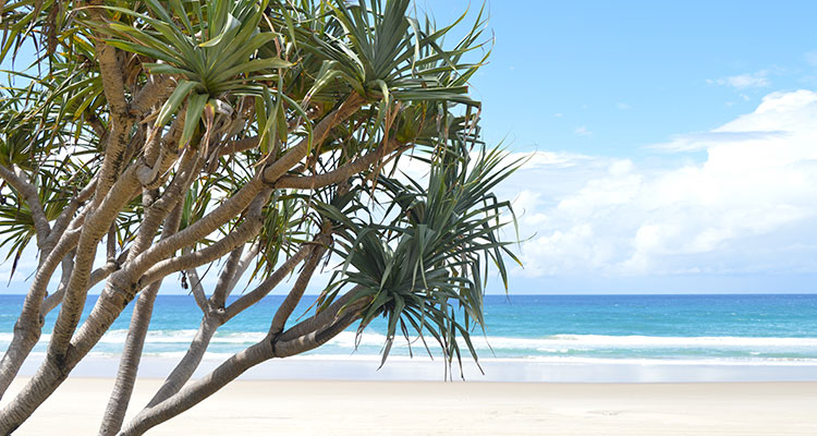 les plages de surfers paradise