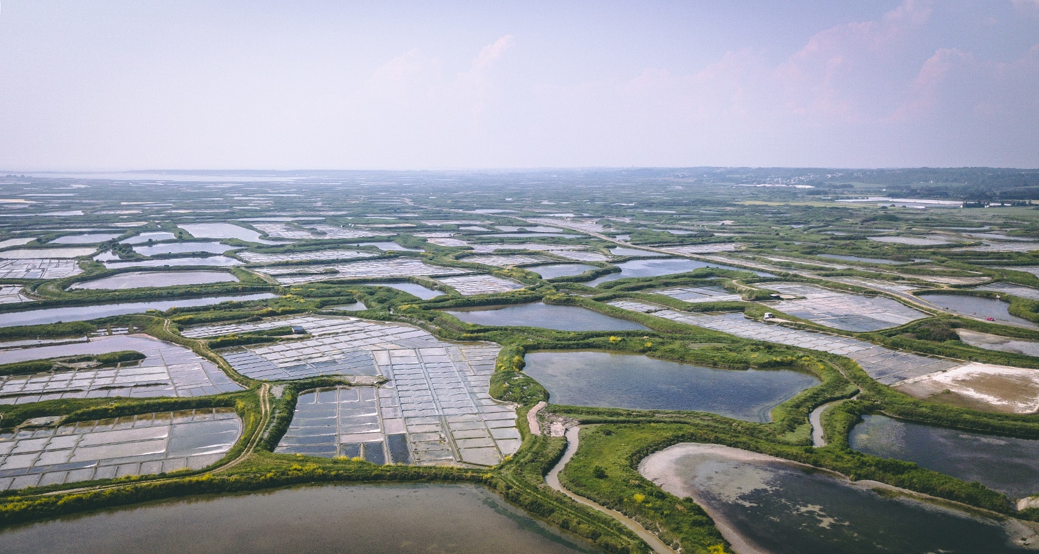 Les marais salants de guerande en Loire Atlantique