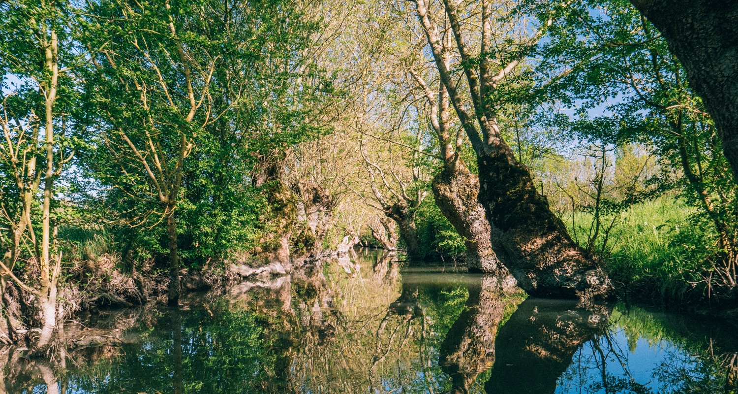 que faire en vendée marées poitevin