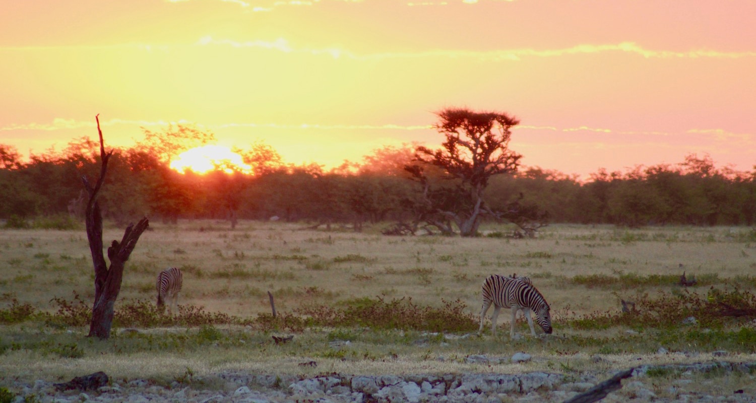 Coucher de soleil Etosha Namibie