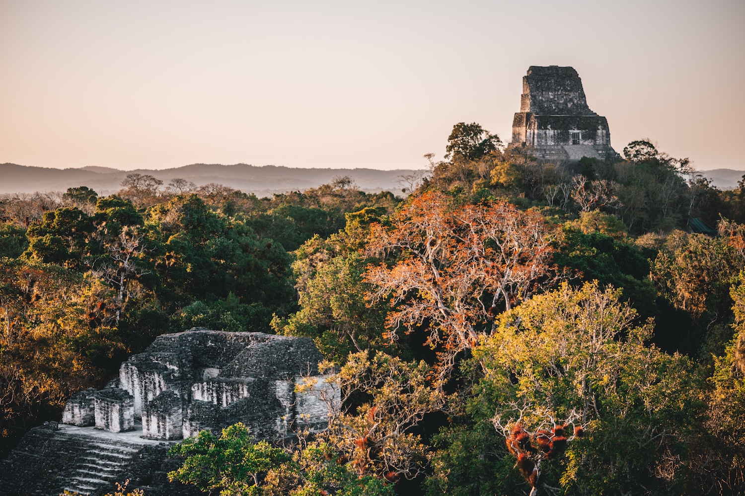 le coucher de soleil sur le parc de Tikal