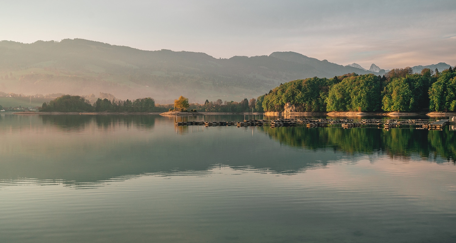 Le lac de Gruyère