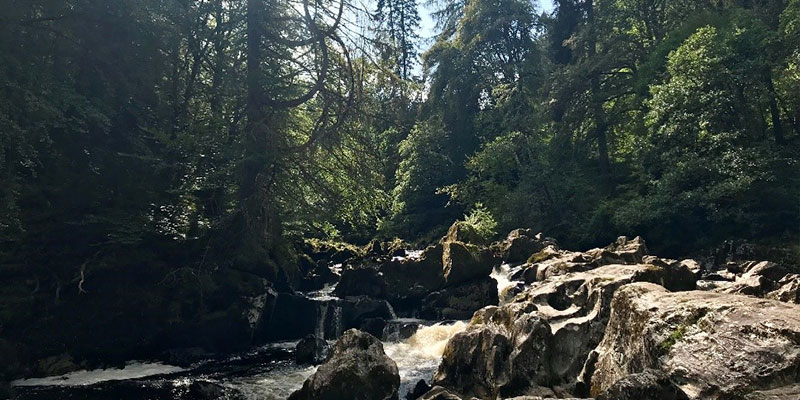 Le parc national de Cairngorms