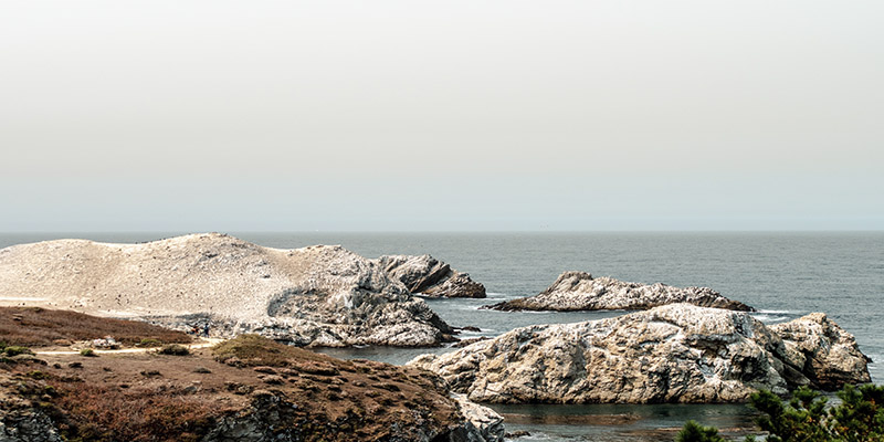 Point Lobos réserve naturelle