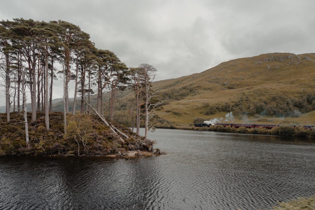 Le Jacobite passant derrière le Loch Eilt et son îlot de pins, en Écosse