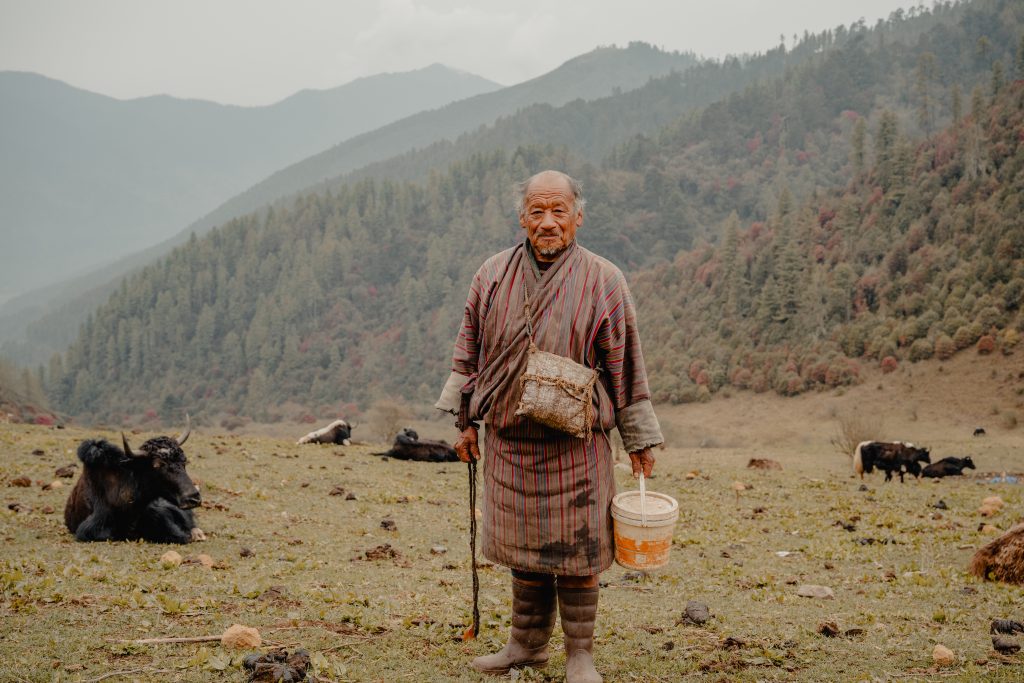 Un berger bhoutanais en tenue traditionnelle au milieu de ses vaches dans une vallée de montagne
